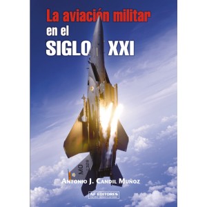 La aviación en el siglo XXI