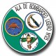 11 CHAPAS DE EMBLEMAS DEL EJÉRCITO DEL AIRE