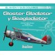 Gloster Gladiator y Seagladiator